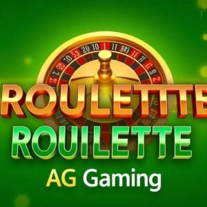 AG亚游轮盘游戏体验